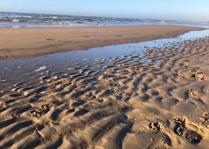 דירה Have A Stay! - Blue House 350 Meters From Sea