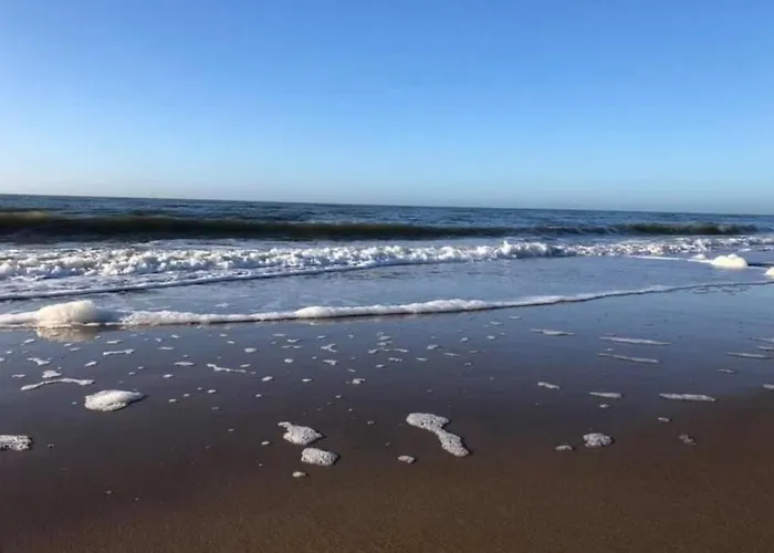 Have A Stay! - Blue House 350 Meters From Sea דירה